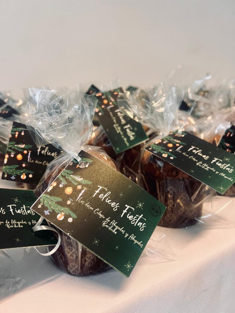 Colegio de Abogados Bariloche Dic 2025 (24)